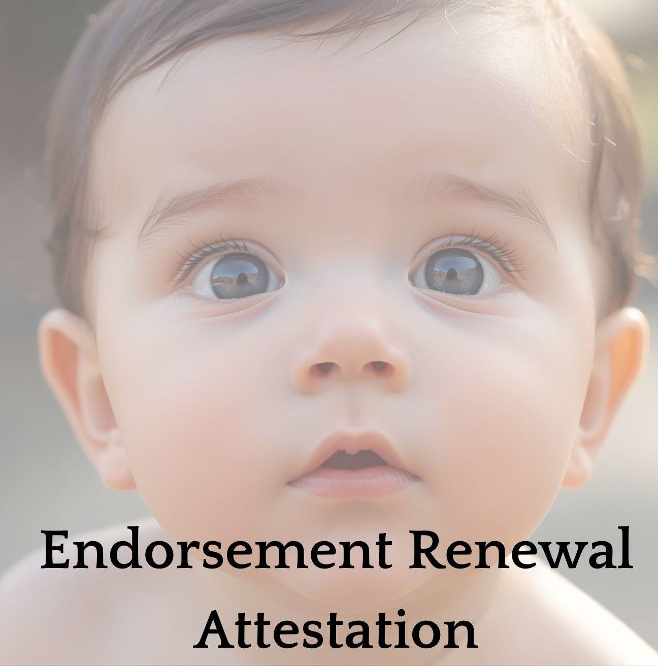 Endorsement Renewal Attestation