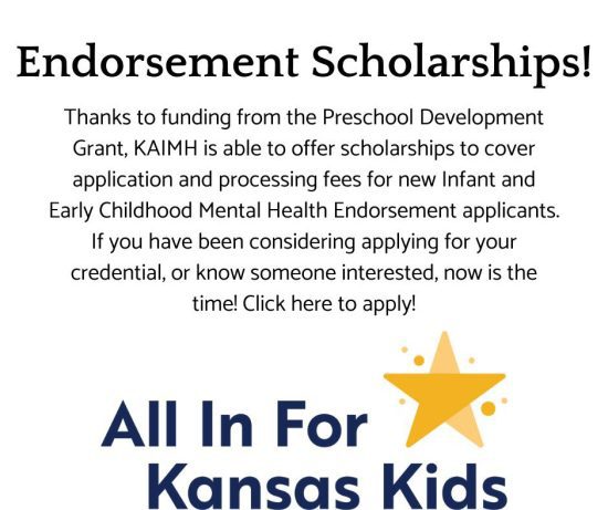 Website Endorsement Scholarships